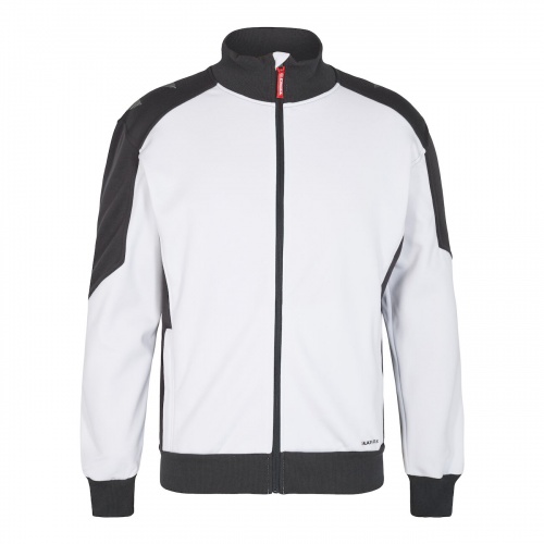 fe-p-f-8830-233-379_295223975