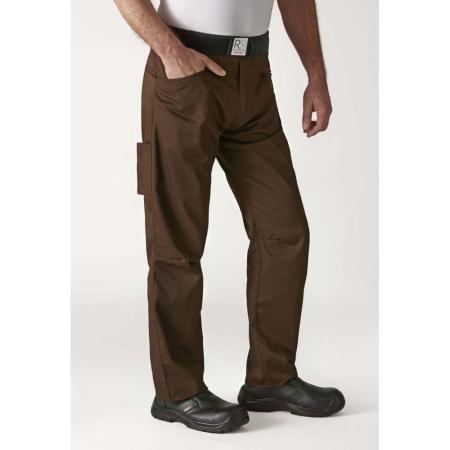 robur-arenal_1579148221